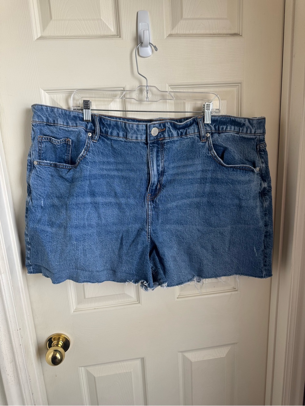 Lane Bryant Denim Shorts